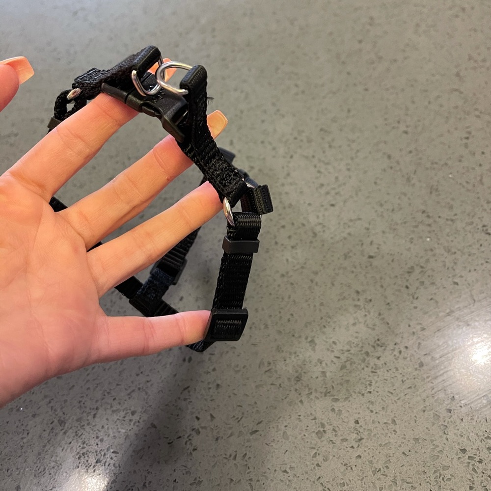 Puppy Harness